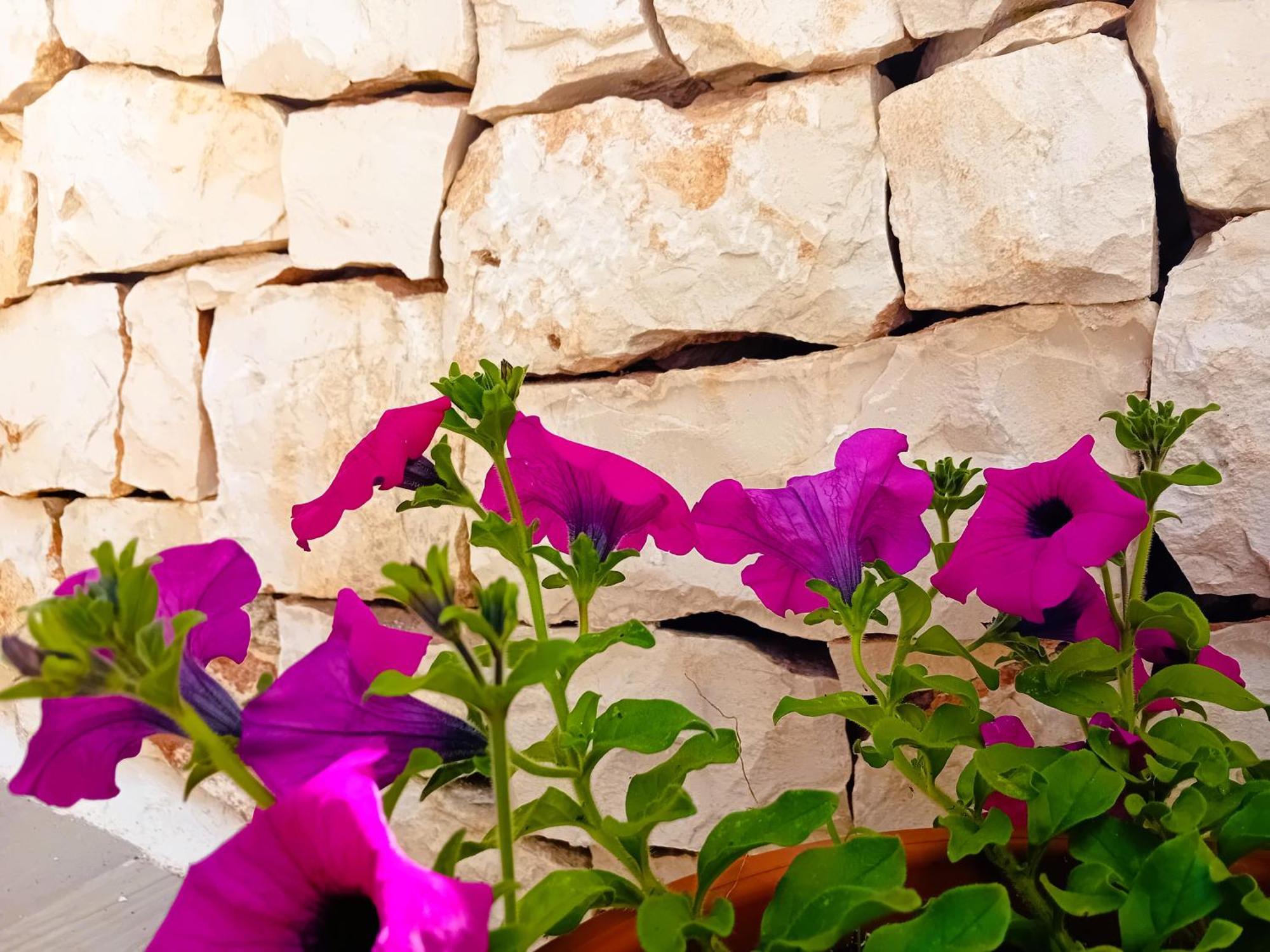 Hotel Pietra Di Puglia Monopoli Exterior foto